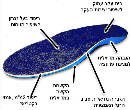 מדרסים ל פלטפוס