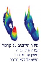 מידרסים של כף הרגל והקרסול