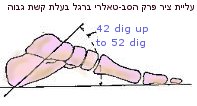 כף רגל , קרסול בקשת גבוה עליית זווית הציר של הפרק הסבטלארי