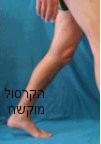 תנועת פלנטר פלקשון